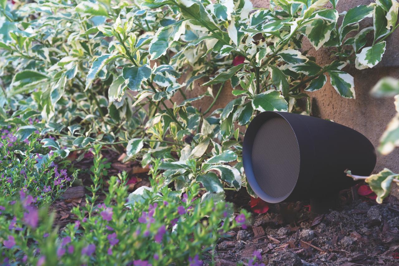 Audio Ambiental Outdoor